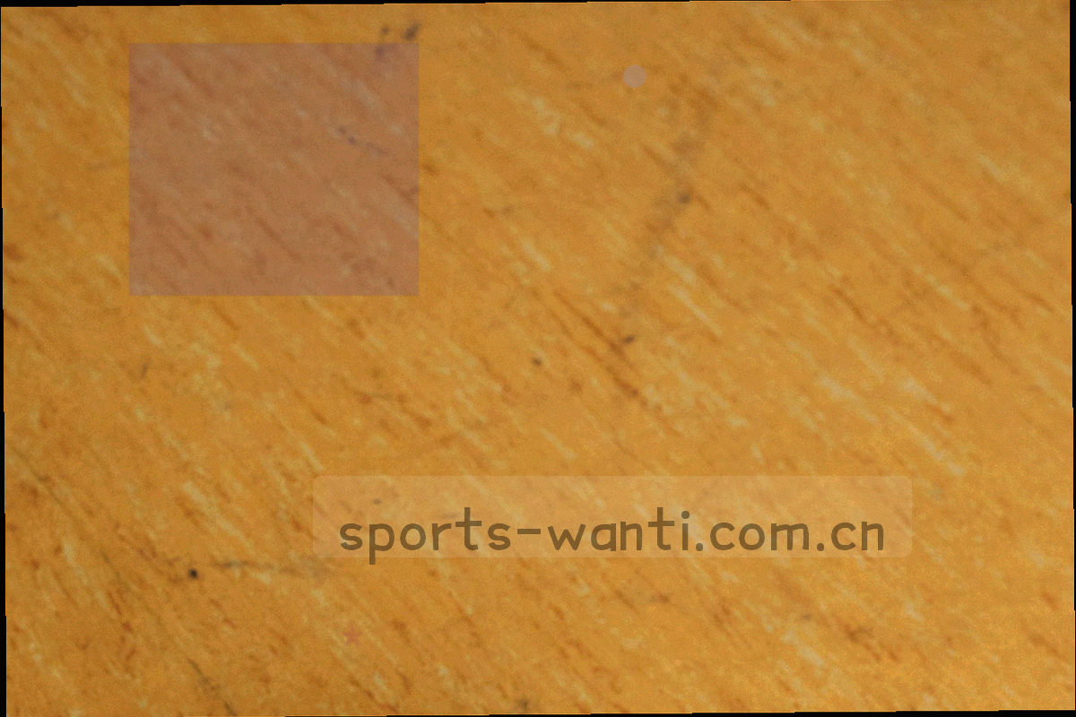 抽象球场半场线条与射门落点热区分布示意图